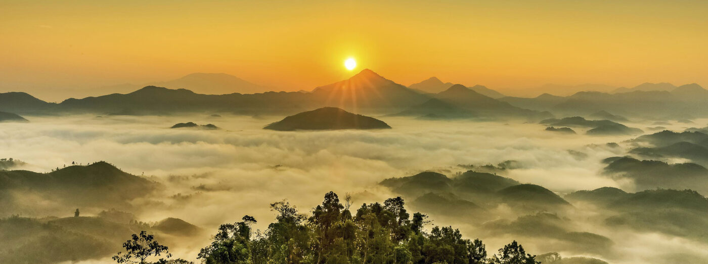 Trang chủ