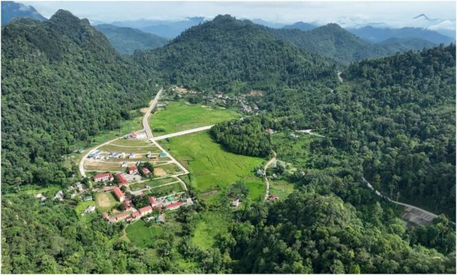 Phú Thọ triển khai đề án phát triển giá trị đa dụng của hệ sinh thái rừng; nâng cao chất lượng rừng – phát huy thế mạnh của rừng phát triển du lịch bền vững