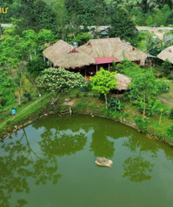 Homestay Thức Như