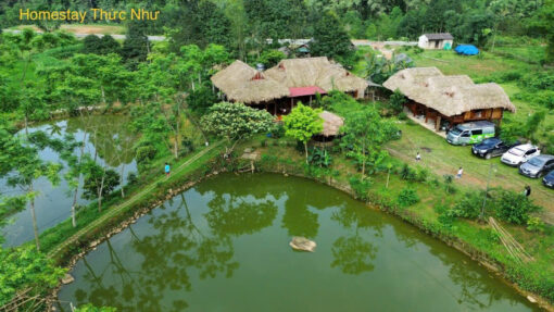 Homestay Thức Như