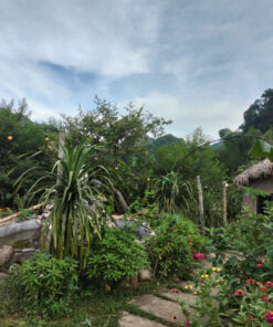 Homestay Triệu Minh