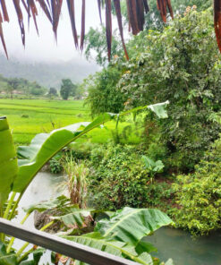 Homestay Triệu Minh