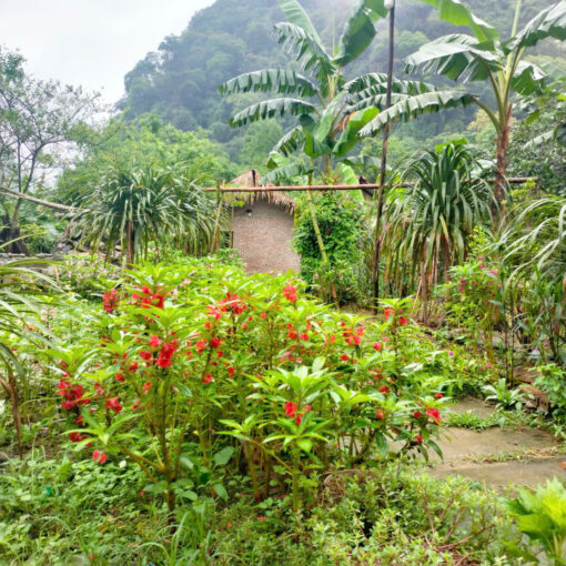 Homestay Triệu Minh