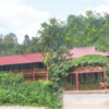 Homestay Lâm