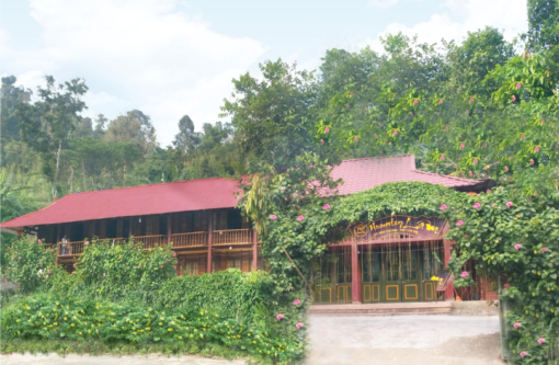 Homestay Lâm